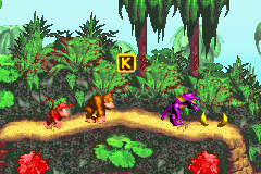 Donkey Kong Country